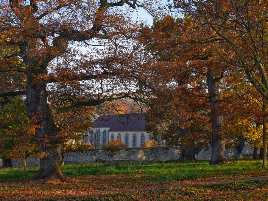 Kloster Dalheim
