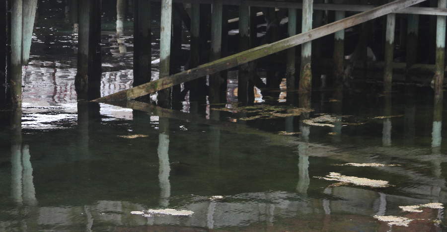 Spiegelung II