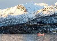 Fischerboot im Trollfjord