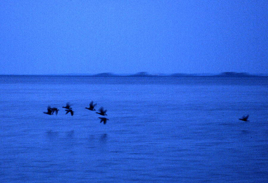 Blaue Stunde am Meer