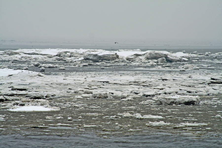 Eistreiben im Watt