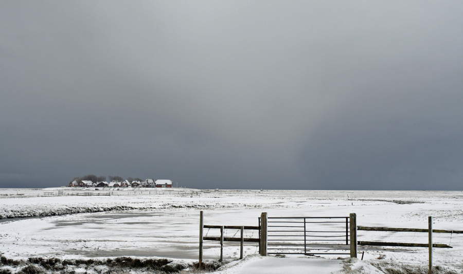 Hallig Hooge im Schnee II