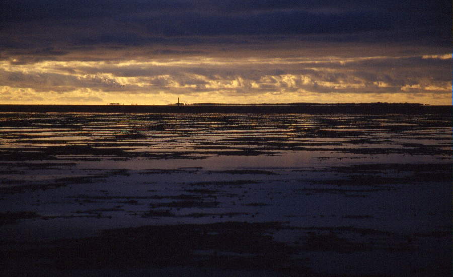 Im Wattenmeer