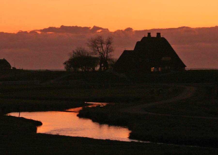 Kirchwarft im Abendlicht