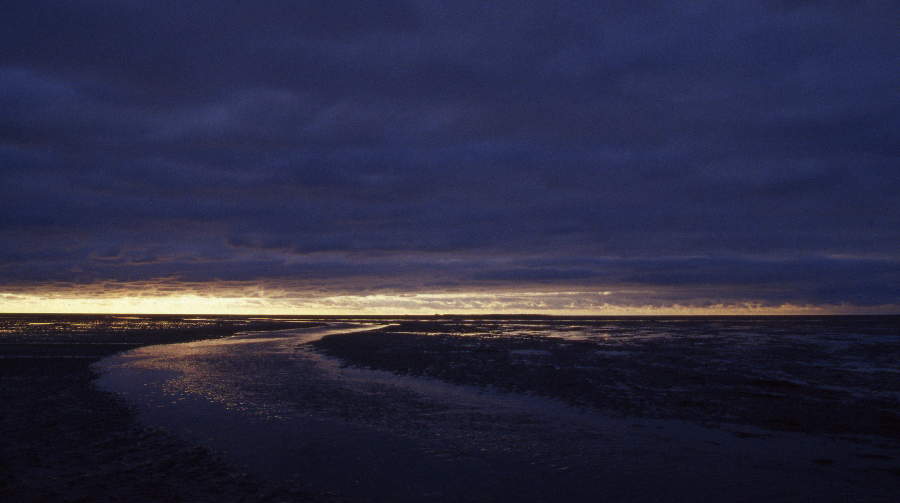 Priel