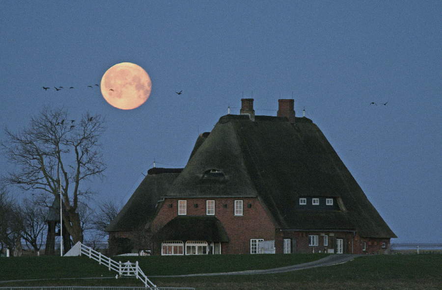 Vollmond über der Kirchwarft