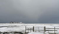 Hallig Hooge im Schnee II