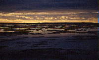 Im Wattenmeer