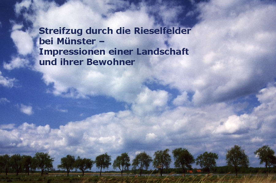 Streifzug durch die Rieselfelder