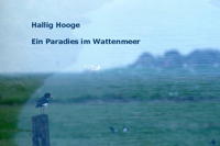 Hallig Hooge