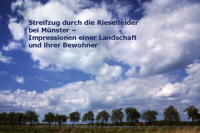 Die Rieselfelder bei Münster